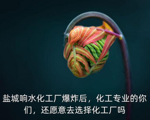 鹽城 化工廠 爆炸到底死多少人,江蘇鹽城化工廠爆炸