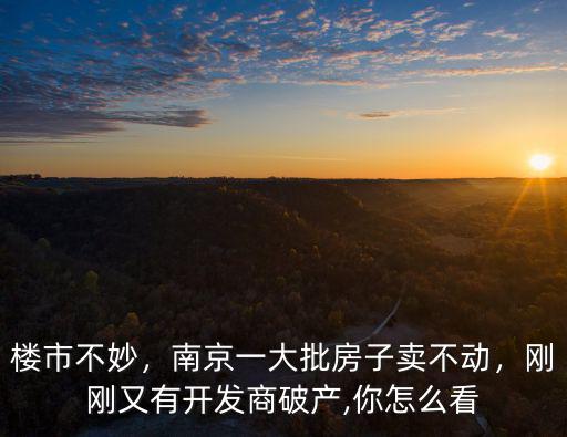 樓市不妙，南京一大批房子賣不動，剛剛又有開發商破產,你怎么看