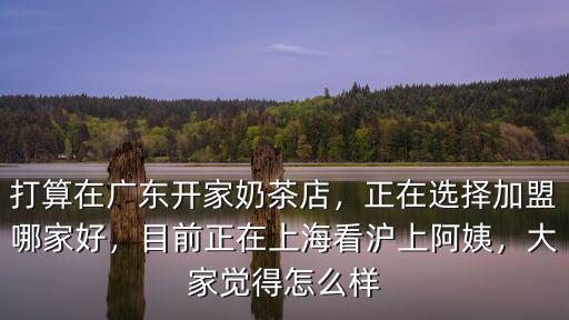 打算在廣東開家奶茶店，正在選擇加盟哪家好，目前正在上海看滬上阿姨，大家覺得怎么樣