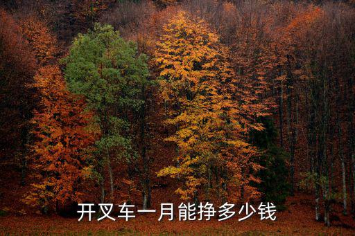 開叉車一月能掙多少錢
