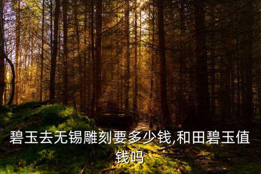 和田碧玉去無(wú)錫雕刻要多少錢,和田碧玉值錢嗎