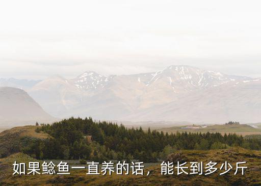 揚州最大魚王多少斤,查干湖最大的魚王有多少斤
