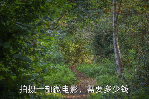 拍攝一部微電影，需要多少錢