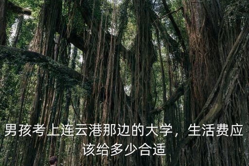 男孩考上連云港那邊的大學，生活費應該給多少合適
