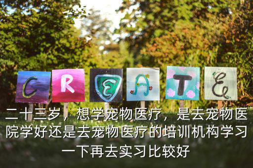 二十三歲，想學寵物醫療，是去寵物醫院學好還是去寵物醫療的培訓機構學習一下再去實習比較好