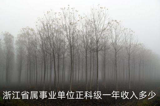 江蘇正科級一年收入多少,江蘇公務員一年收入多少錢