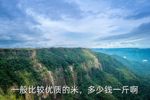 南通大米一斤多少錢,多少錢一斤啊