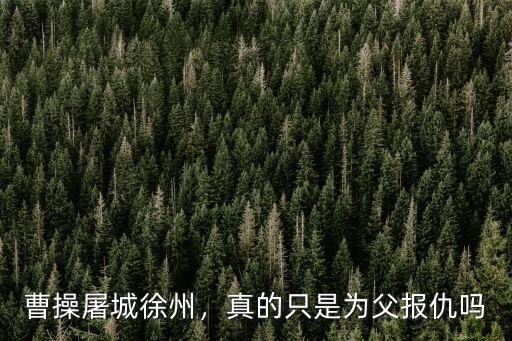 曹操屠城徐州，真的只是為父報仇嗎