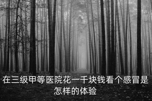 在三級(jí)甲等醫(yī)院花一千塊錢(qián)看個(gè)感冒是怎樣的體驗(yàn)
