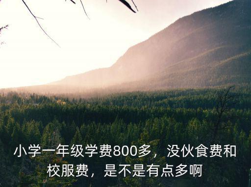 小學一年級學費800多，沒伙食費和校服費，是不是有點多啊