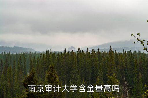 文科排名多少可以進(jìn)南京審計(jì)大學(xué),南京審計(jì)大學(xué)含金量高嗎