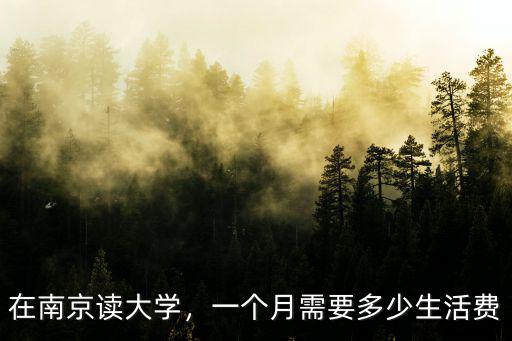 在南京讀大學，一個月需要多少生活費