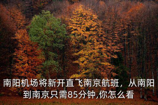 南陽至南京飛機票價是多少,南陽機場將新開直飛南京航班
