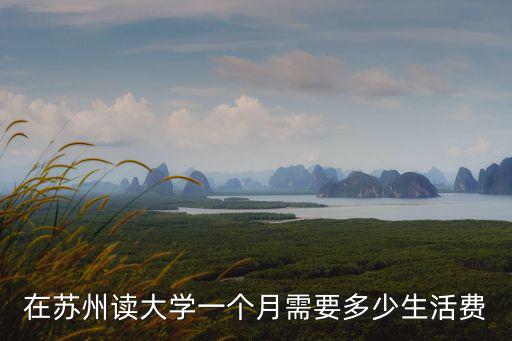 蘇州大學生活費多少,今年在蘇州大學上大一