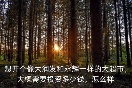 想開個像大潤發和永輝一樣的大超市，大概需要投資多少錢，怎么樣