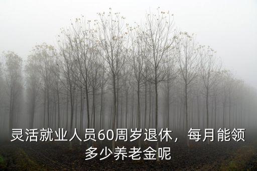 江蘇靈活就業人員退休金多少,靈活就業人員60周歲退休