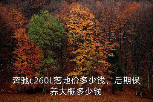 奔馳c260L落地價(jià)多少錢，后期保養(yǎng)大概多少錢