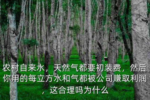 周口天然氣初裝費多少,天然氣都要初裝費
