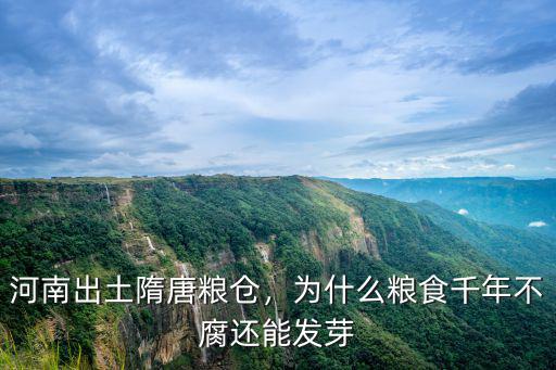 河南最大糧倉是多少,河南出土隋唐糧倉