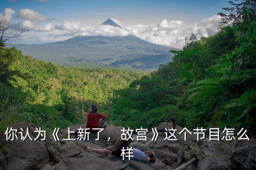 你認(rèn)為《上新了，故宮》這個(gè)節(jié)目怎么樣