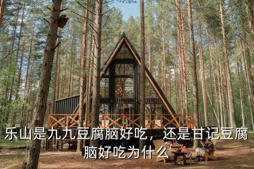 樂山是九九豆腐腦好吃，還是甘記豆腐腦好吃為什么