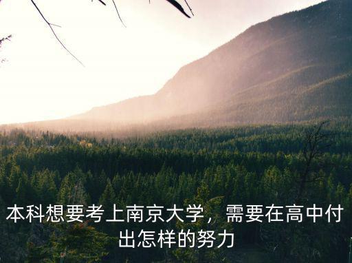 本科想要考上南京大學，需要在高中付出怎樣的努力