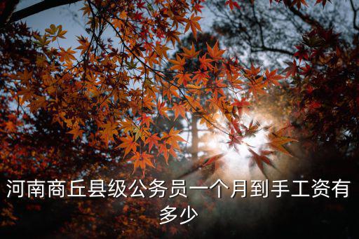 河南商丘縣級公務員一個月到手工資有多少