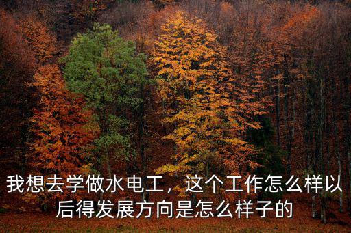 南充哪里可以學水電工,學徒水電工要學多久