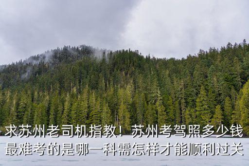蘇州考個駕照要多少錢2015,求蘇州老司機指教