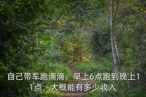 常州跑滴滴專車一天有多少錢,想去常州跑滴滴