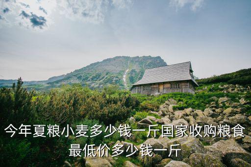 今年夏糧小麥多少錢一斤國家收購糧食最低價多少錢一斤