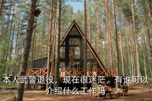 本人武警退役，現在很迷茫，有誰可以介紹什么工作嗎