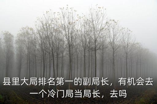 許昌市商務局有多少副局長,縣里大局排名第一的副局長