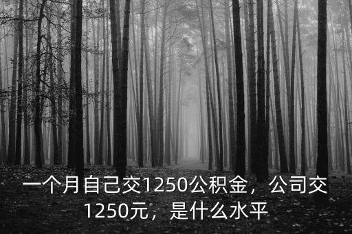 漯河一月交多少公積金,一個月自己交1250公積金