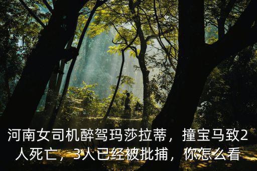 河南瑪莎拉蒂死亡寶馬車上什么人 怎么陪,河南女司機(jī)醉駕瑪莎拉蒂