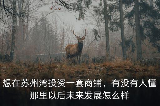 想在蘇州灣投資一套商鋪，有沒有人懂那里以后未來發展怎么樣