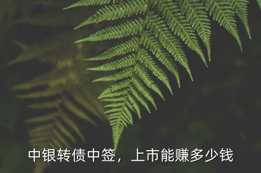 中銀轉債中簽，上市能賺多少錢