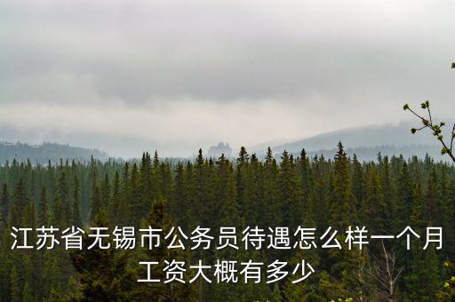 無錫藥監(jiān)局一年多少工資,一個月工資大概有多少