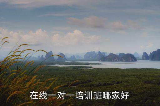在線一對一培訓班哪家好