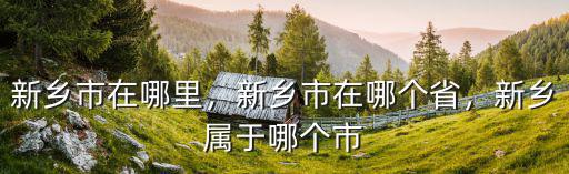 新鄉(xiāng)市龍王廟在哪里,新鄉(xiāng)市在哪里