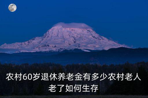 農村60歲退休養老金有多少農村老人老了如何生存