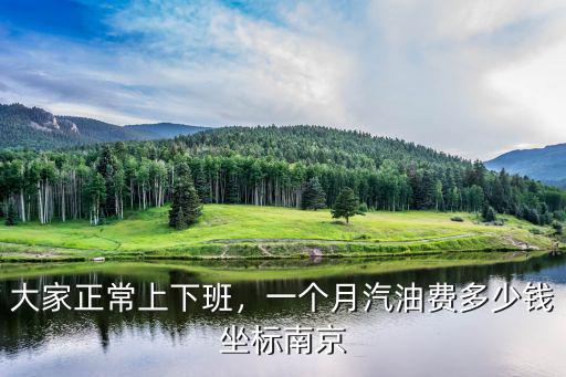 大家正常上下班，一個(gè)月汽油費(fèi)多少錢(qián)坐標(biāo)南京