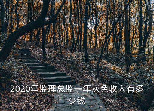 2020年監理總監一年灰色收入有多少錢