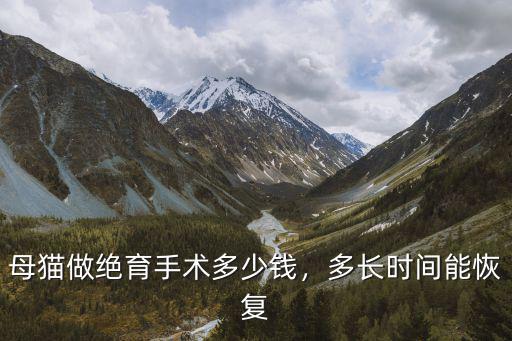 母貓做絕育手術多少錢，多長時間能恢復