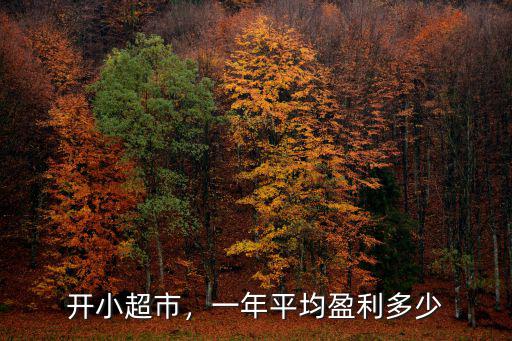開小超市，一年平均盈利多少