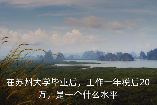 在蘇州大學畢業后，工作一年稅后20萬，是一個什么水平