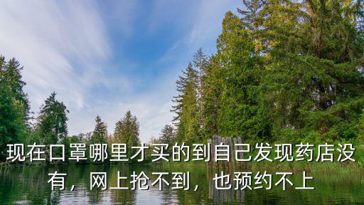 現在口罩哪里才買的到自己發現藥店沒有，網上搶不到，也預約不上