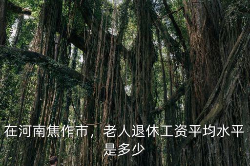 河南退休職工月工資多少,老人退休工資平均水平是多少