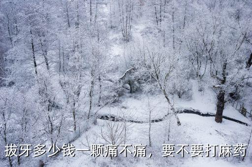 鹽城中醫院拔智齒多少錢一顆,請問拔智齒多少錢一顆