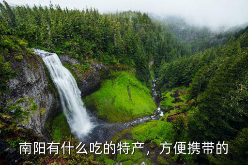 南陽市哪里有賣特產的,南陽有什么吃的特產